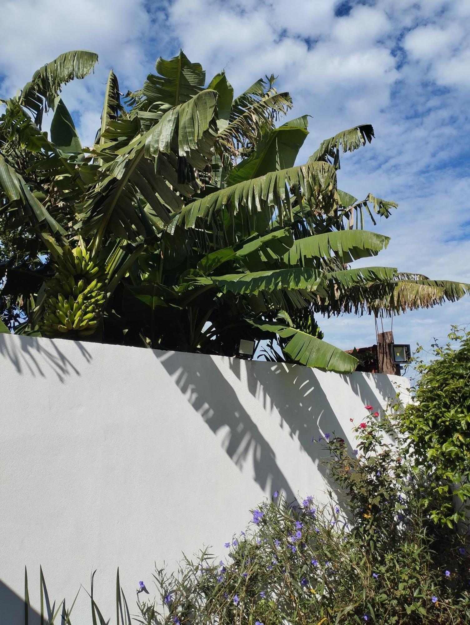 Apartamento Brisas Iguazu Puerto Iguazú Exterior foto