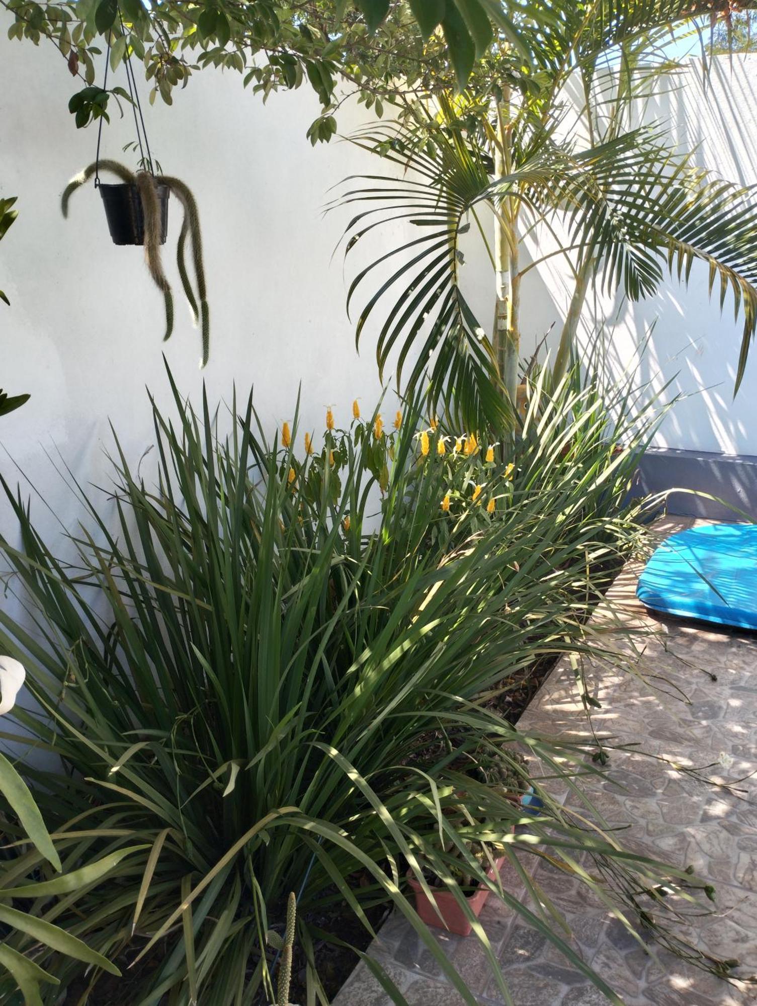 Apartamento Brisas Iguazu Puerto Iguazú Exterior foto